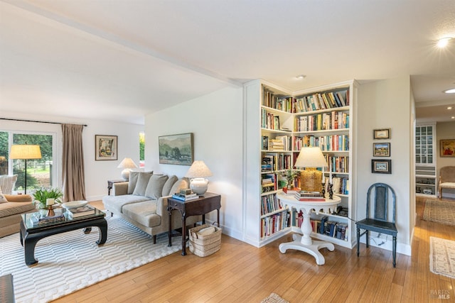 sitting room with light wood-type flooring