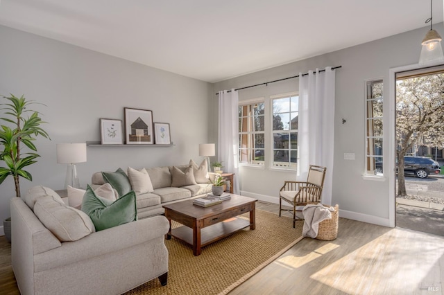 living room featuring hardwood / wood-style floors