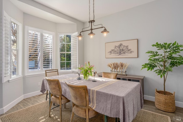 dining room featuring wood-type flooring