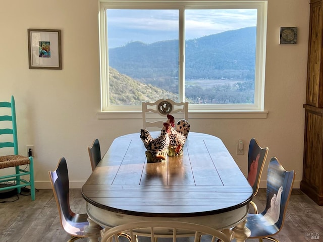 dining room featuring baseboards, a mountain view, and wood finished floors