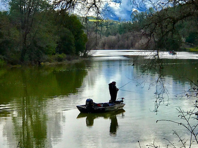 property view of water with a wooded view