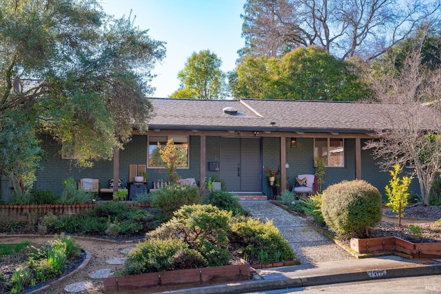 ranch-style home with roof with shingles