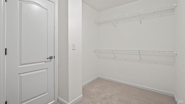 walk in closet featuring light carpet