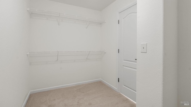 walk in closet featuring light colored carpet