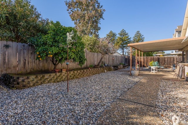 view of yard featuring a patio area