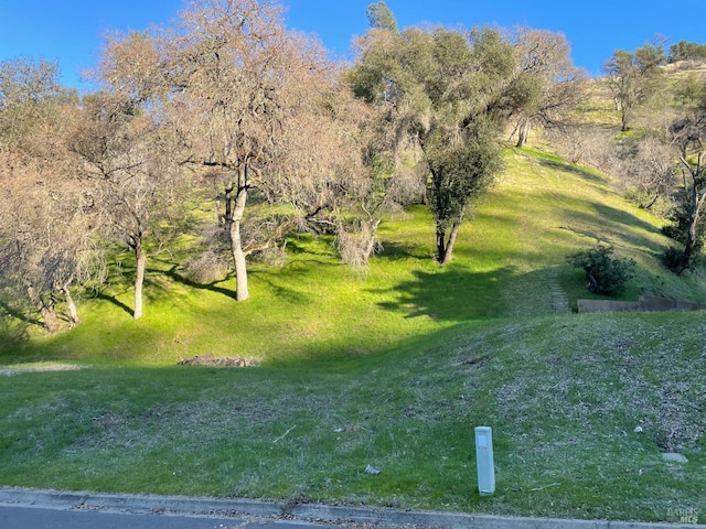 1026 Arroyo Lindo Ct, Napa CA, 94558 land for sale