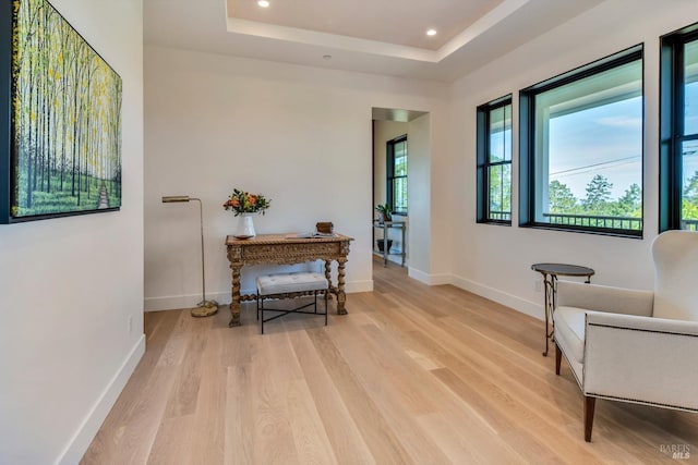 living area featuring a tray ceiling and light hardwood / wood-style flooring