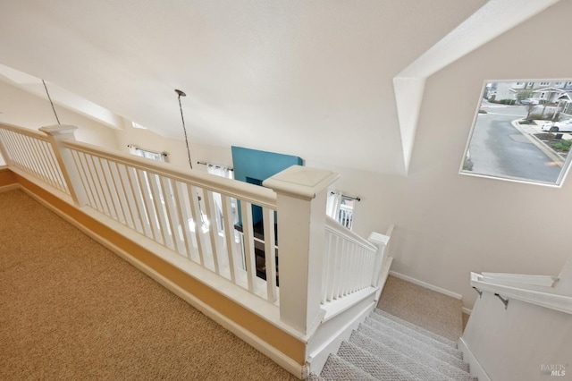 interior space featuring carpet floors