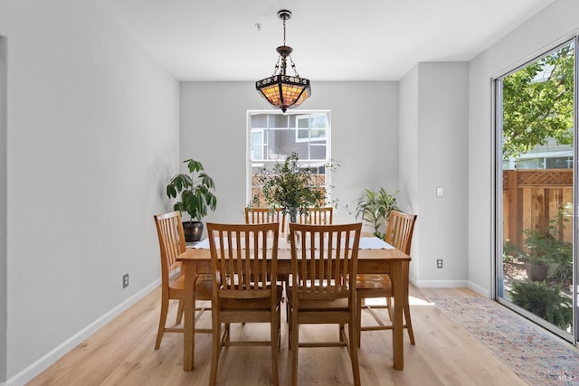 dining area with light hardwood / wood-style flooring