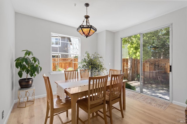 dining room with light hardwood / wood-style flooring