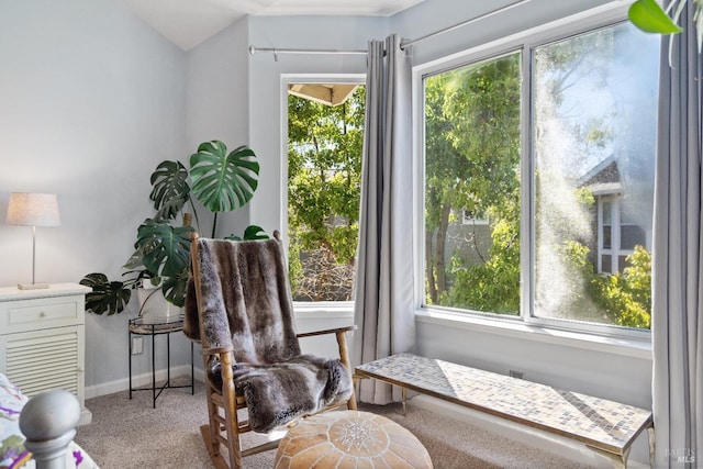 sitting room with light carpet