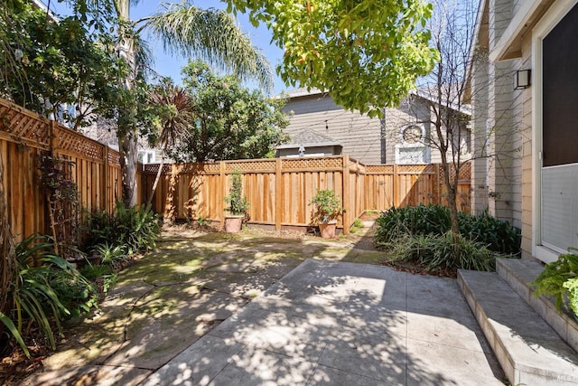 view of yard featuring a patio area