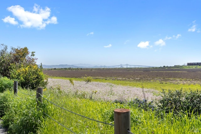 view of yard featuring a rural view and a mountain view