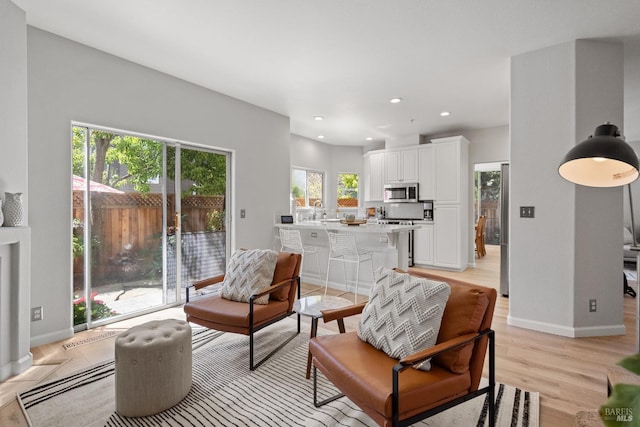 living room with light hardwood / wood-style floors