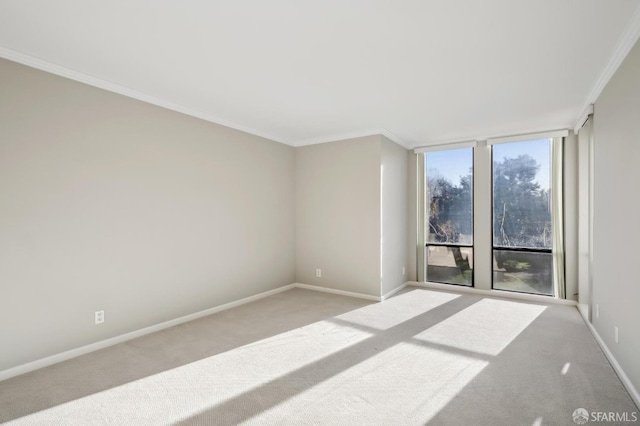 carpeted spare room with ornamental molding and a wall of windows