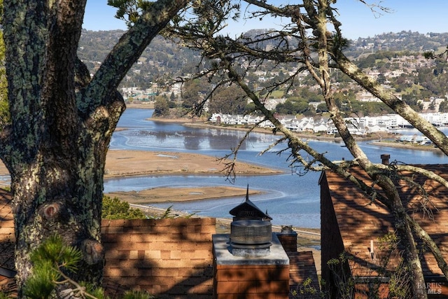 water view featuring a mountain view