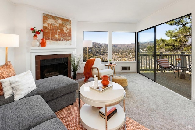 living room with a fireplace and ornamental molding