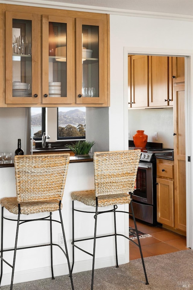 kitchen featuring stainless steel electric stove and a kitchen bar