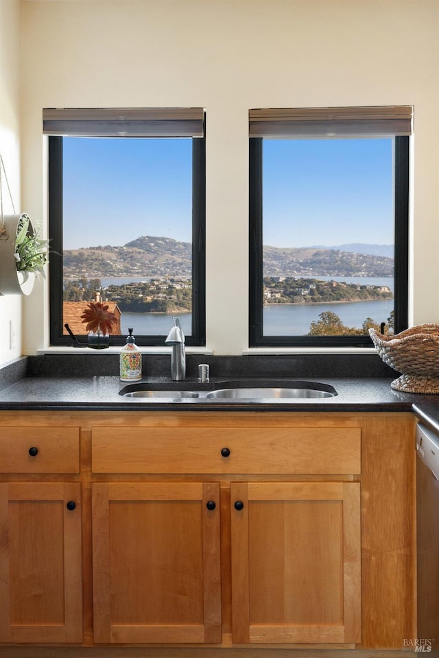 kitchen with a water and mountain view, sink, a healthy amount of sunlight, and stainless steel dishwasher