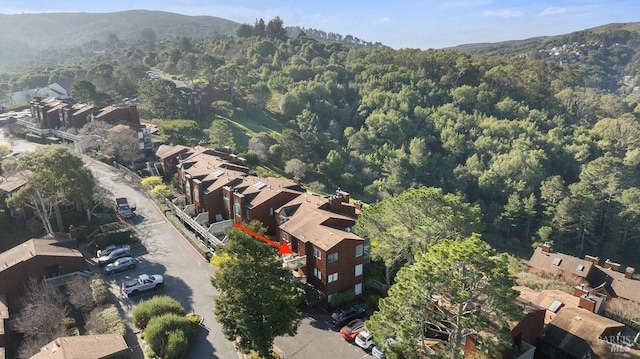 aerial view with a mountain view