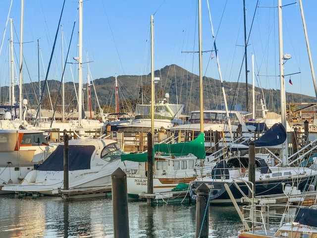 dock area with a water and mountain view