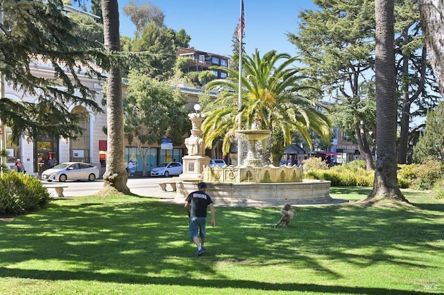 view of home's community with a lawn