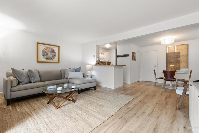 living room featuring light hardwood / wood-style flooring