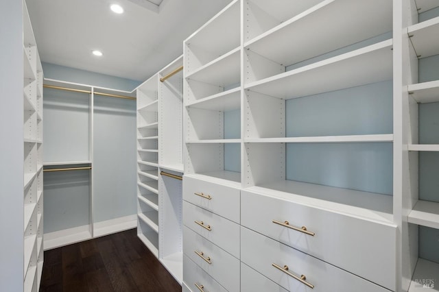 spacious closet with dark wood-type flooring