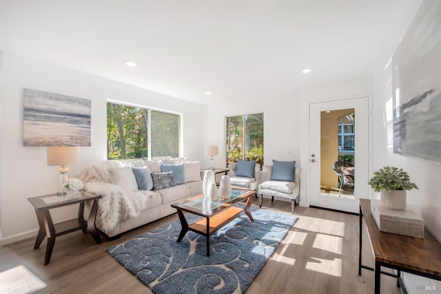 living room with light hardwood / wood-style floors and a healthy amount of sunlight