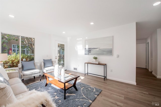 living room with wood-type flooring