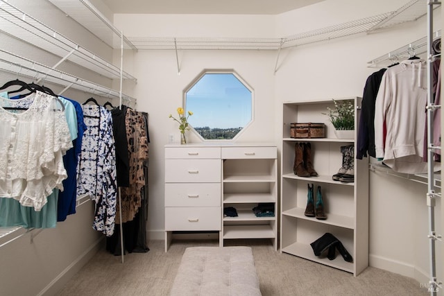 walk in closet with carpet flooring