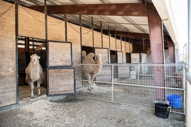 view of horse barn