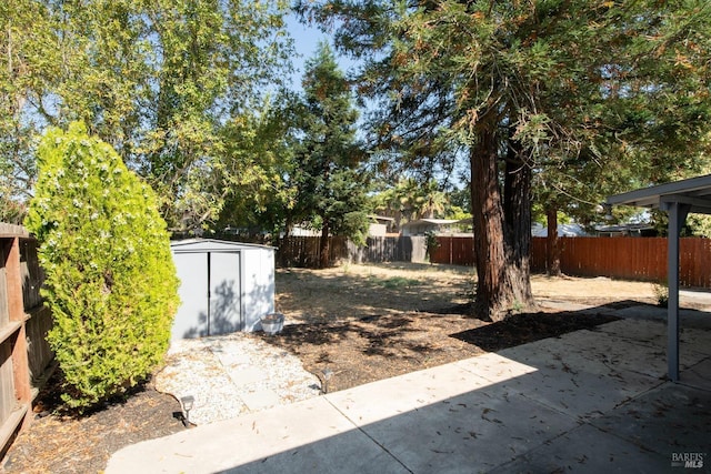 view of yard featuring a storage shed and a patio