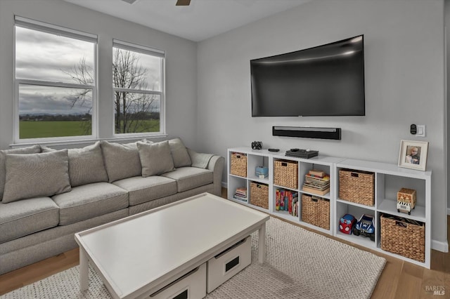 living room with ceiling fan and light wood-type flooring