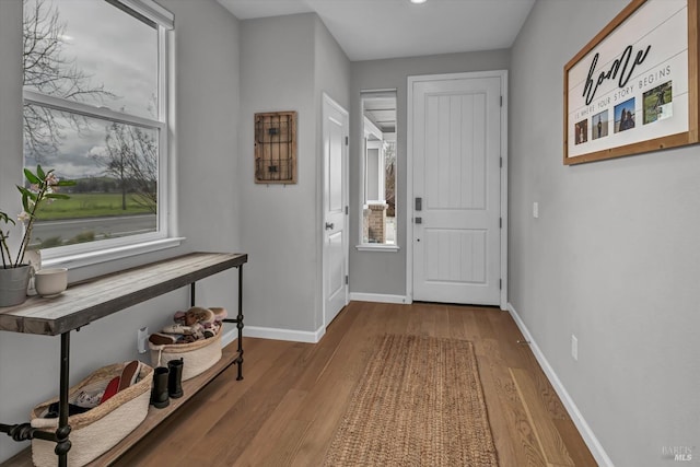 entrance foyer featuring plenty of natural light and light hardwood / wood-style flooring