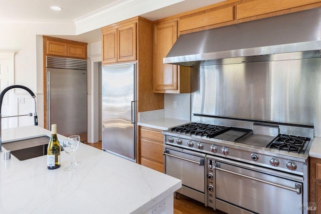 kitchen with range hood, sink, high end appliances, ornamental molding, and light stone countertops