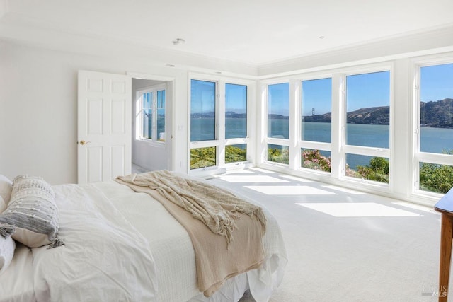 bedroom featuring a water view, crown molding, and carpet floors