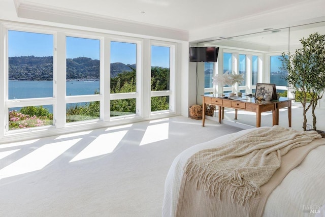 carpeted bedroom featuring crown molding