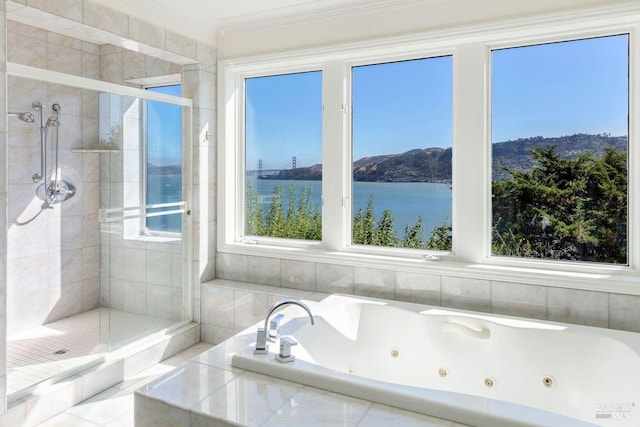 bathroom featuring ornamental molding, a healthy amount of sunlight, separate shower and tub, and a water and mountain view