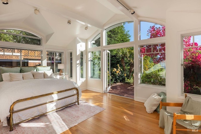 bedroom with track lighting, high vaulted ceiling, and light wood-type flooring