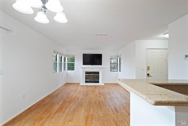 unfurnished living room featuring light wood-type flooring