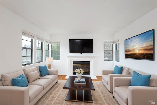 living room with light hardwood / wood-style floors