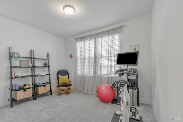 workout area with carpet