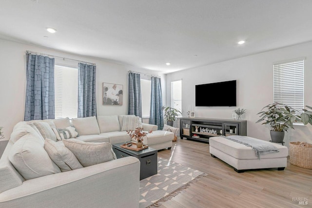 living room featuring a wealth of natural light and light wood-type flooring