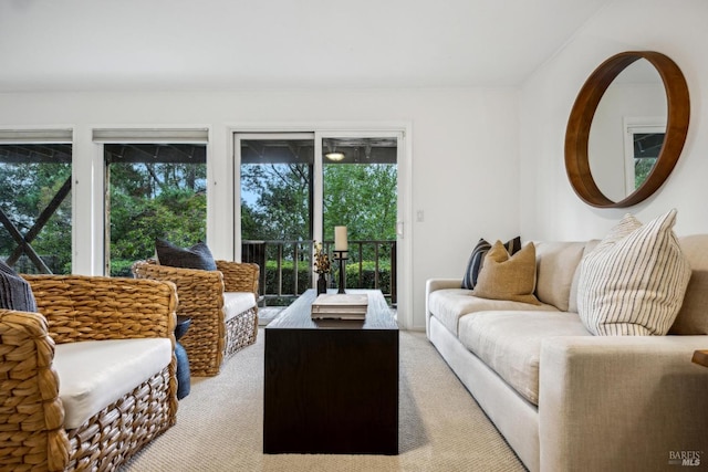 view of carpeted living room