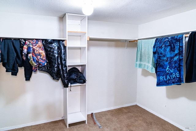 walk in closet with carpet