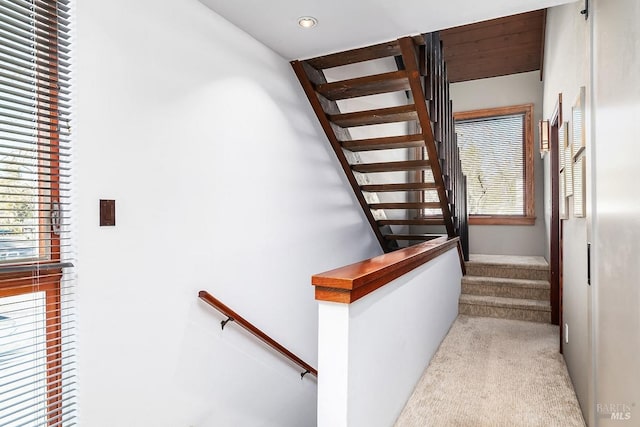 staircase with carpet floors