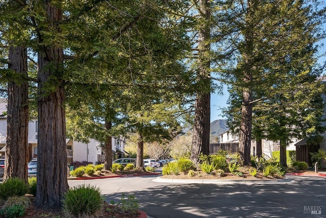 view of road with curbs