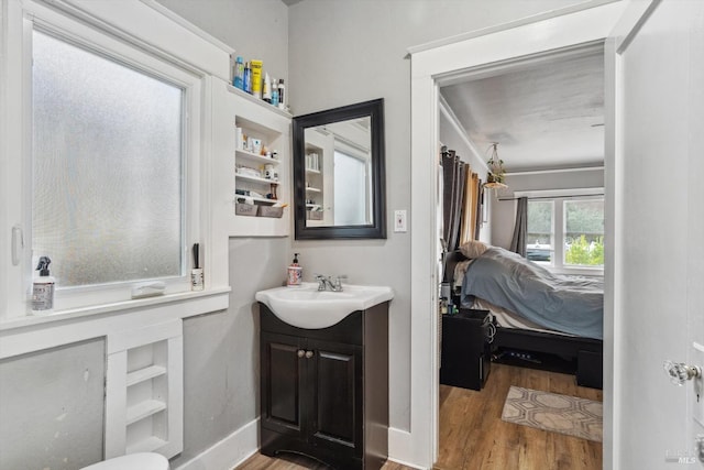 bathroom featuring wood-type flooring and vanity