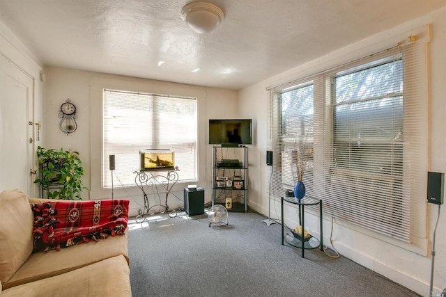 sitting room with carpet floors